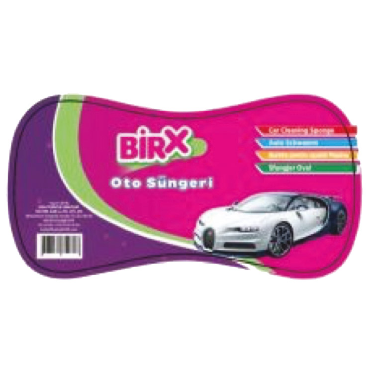 Oto Süngeri